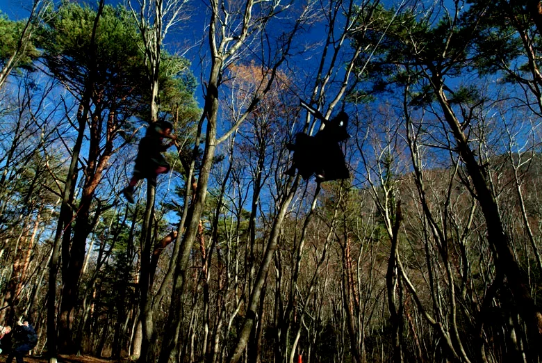 Photo 6 du film : Shinobi