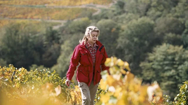 Photo du film : Après lui