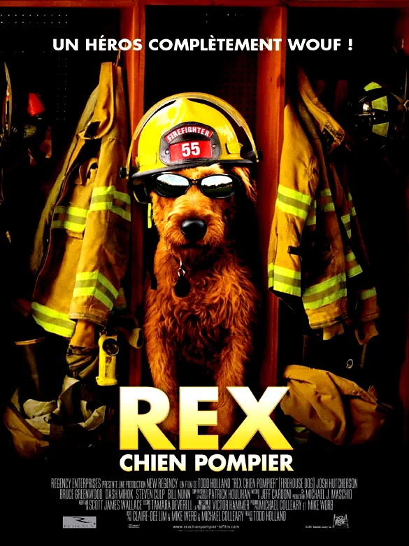 Affiche du film : Rex, chien pompier