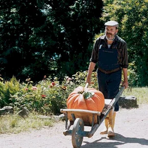 Photo du film : Dialogue avec mon jardinier