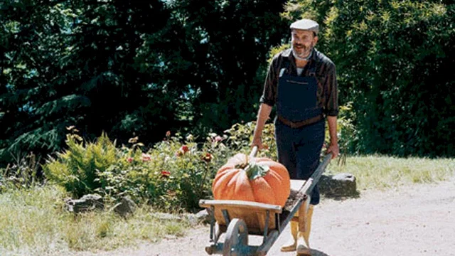 Photo du film : Dialogue avec mon jardinier