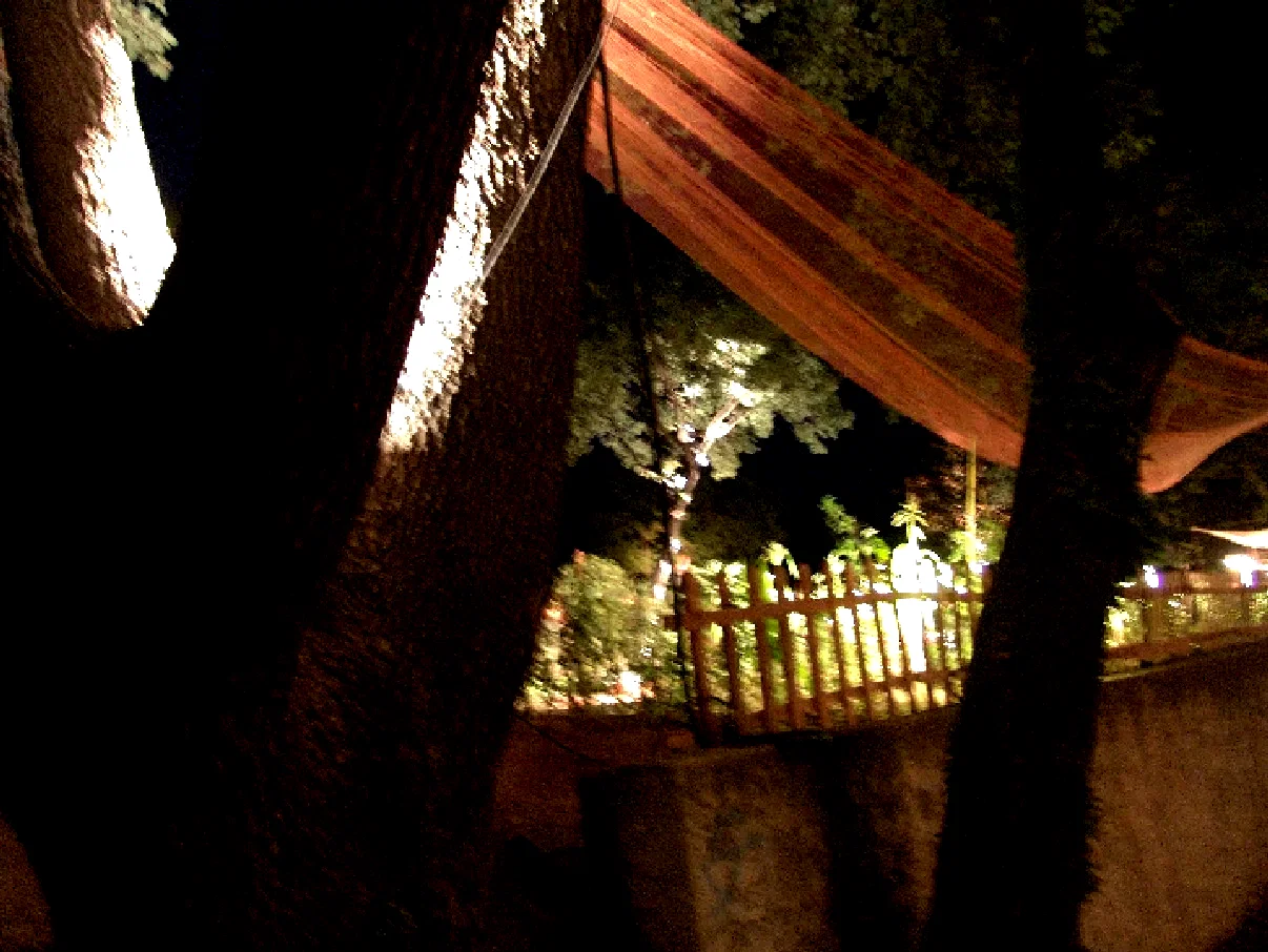 Photo 3 du film : Festival Caressez le Potager