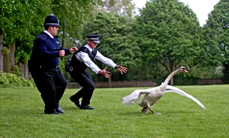 Photo 8 du film : Hot fuzz