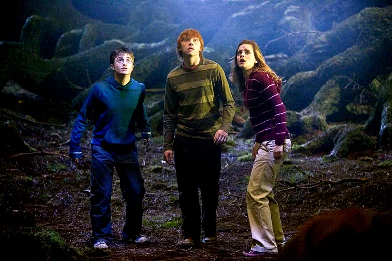 Photo 10 du film : Harry Potter et l'Ordre du Phénix