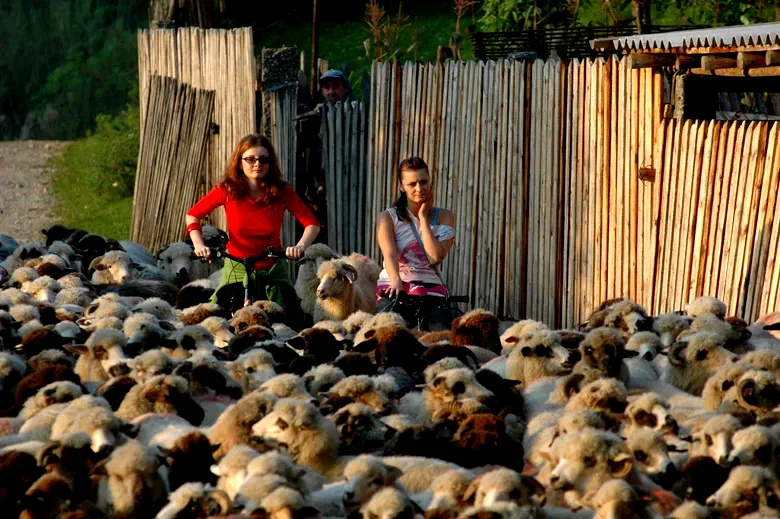 Photo 4 du film : Love sick