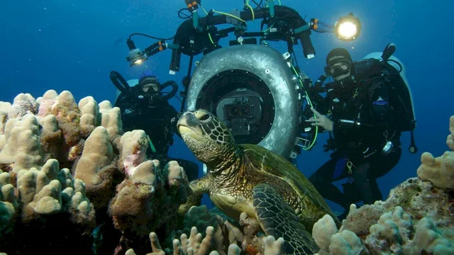Photo 2 du film : Deep sea