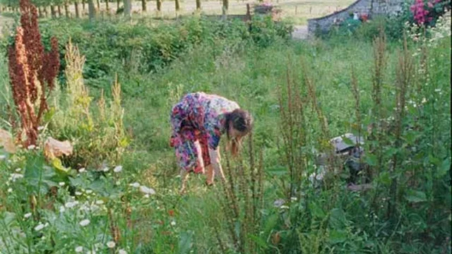 Photo 8 du film : En souvenir de nous