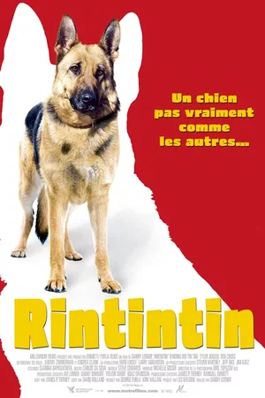 Affiche du film : Rintintin