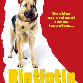 Photo du film : Rintintin