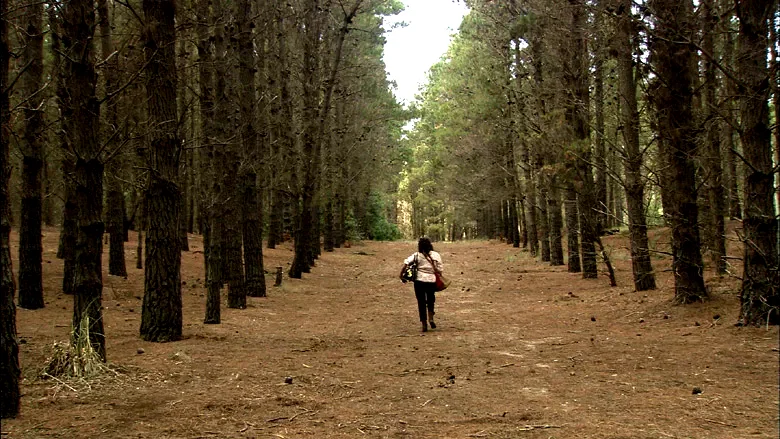 Photo 2 du film : La fiancée errante