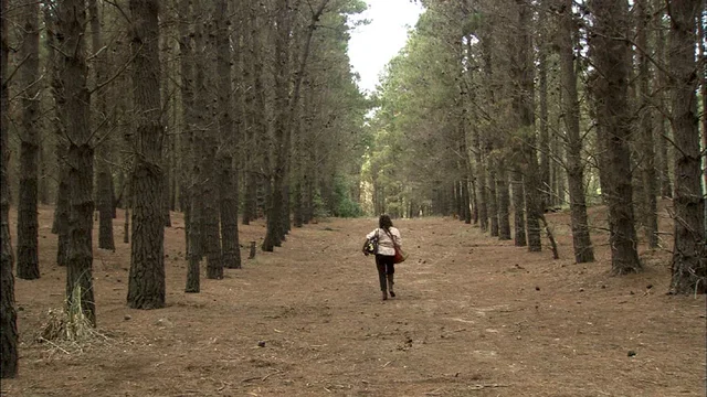 Photo du film : La fiancée errante