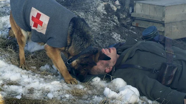 Photo du film : Rintintin