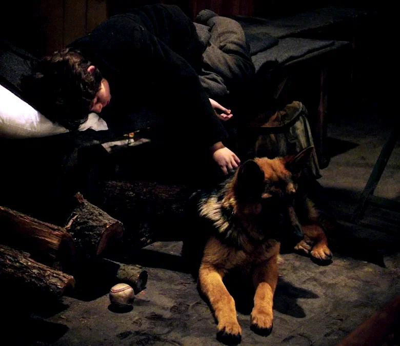 Photo 6 du film : Rintintin