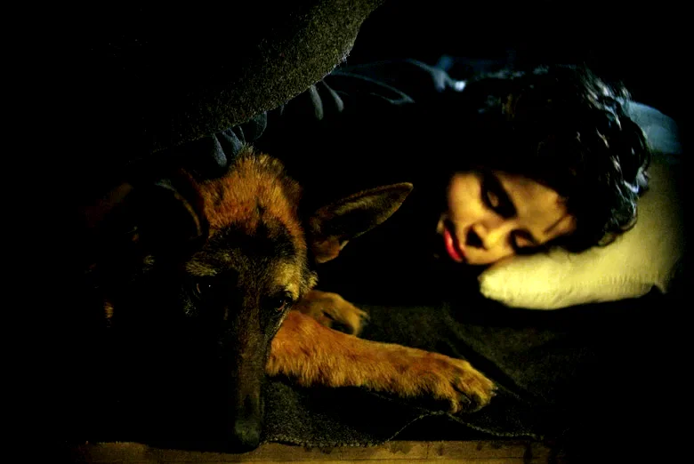 Photo 8 du film : Rintintin