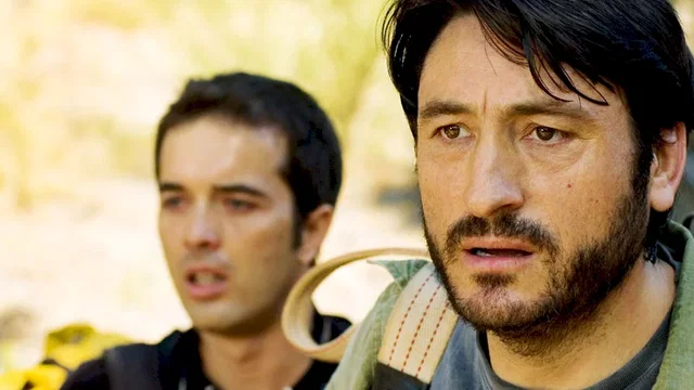 Photo du film : La nuit des tournesols