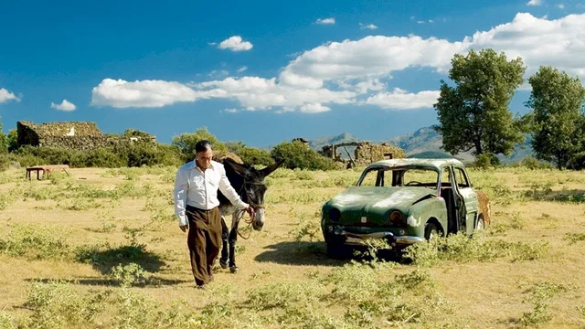 Photo du film : La nuit des tournesols
