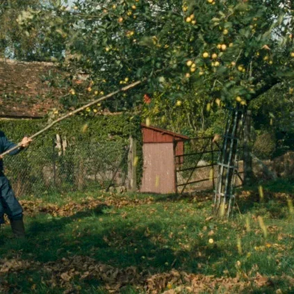 Miniature photo du film : Retour en normandie