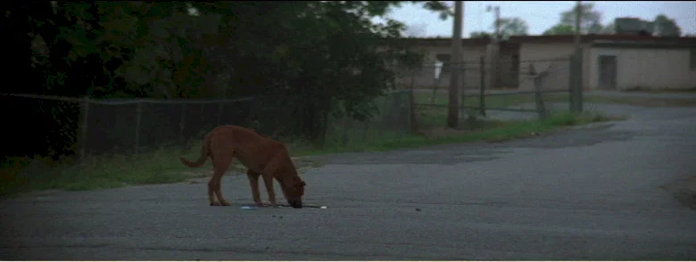 Photo du film : Shotgun stories