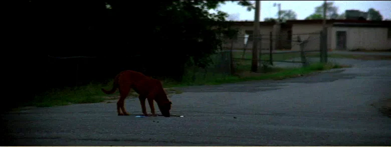 Photo 4 du film : Shotgun stories