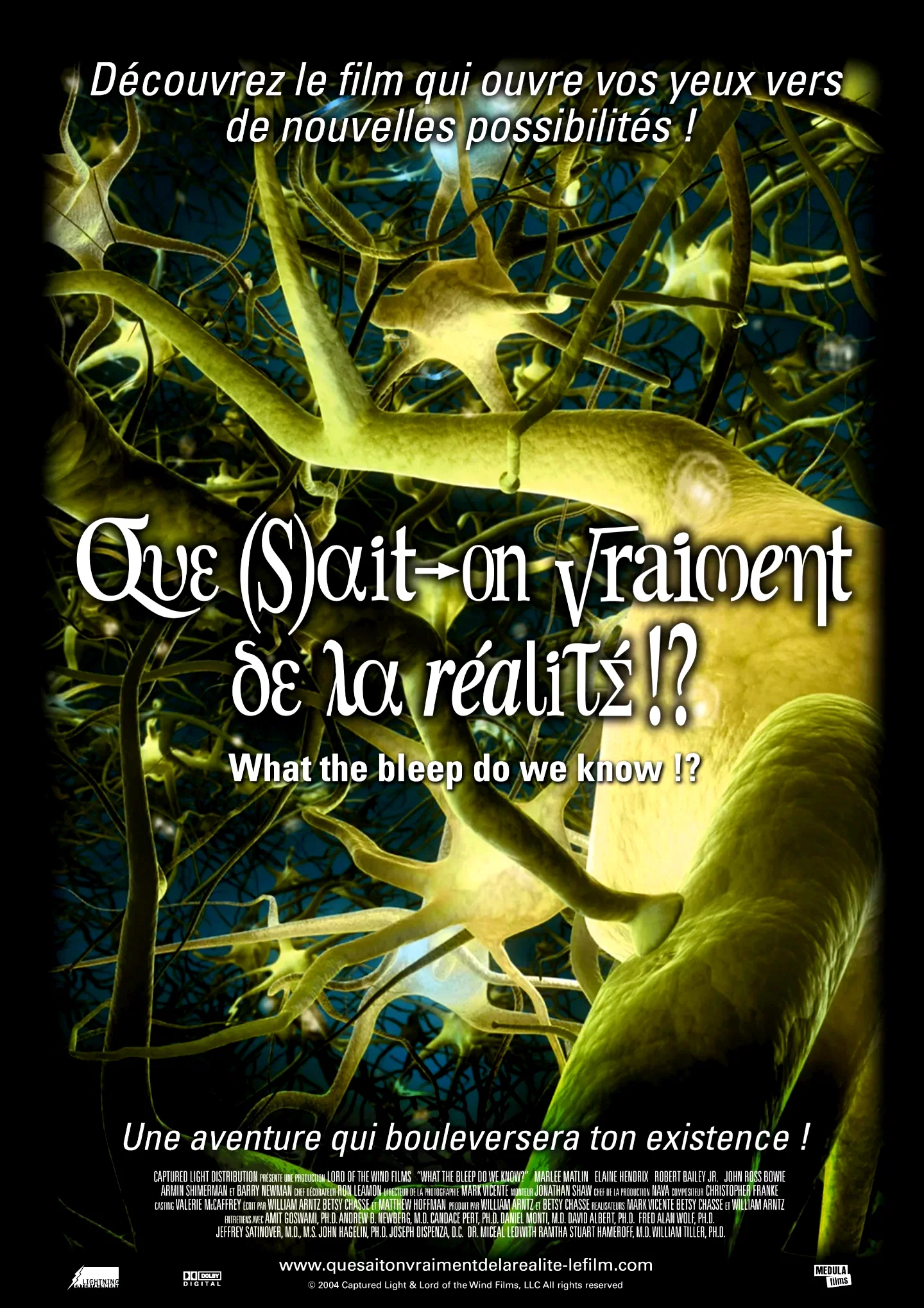 Affiche du film : Que sait-on vraiment de la realité !?