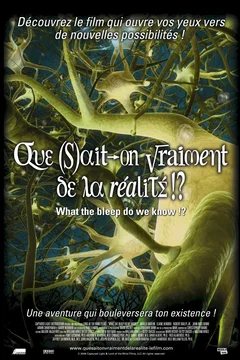 Affiche du film Que sait-on vraiment de la realité !?