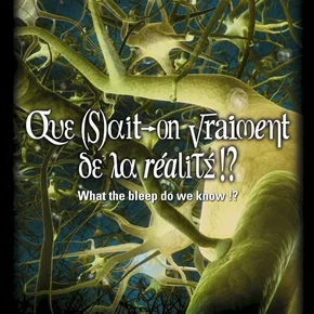 Photo du film : Que sait-on vraiment de la realité !?