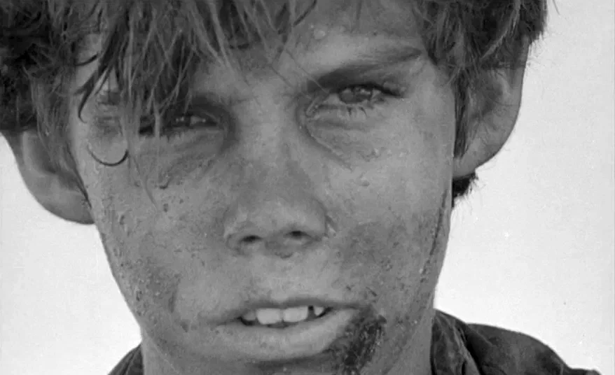Photo 4 du film : Sa majeste des mouches