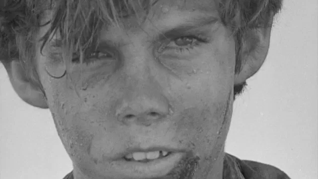Photo du film : Sa majeste des mouches