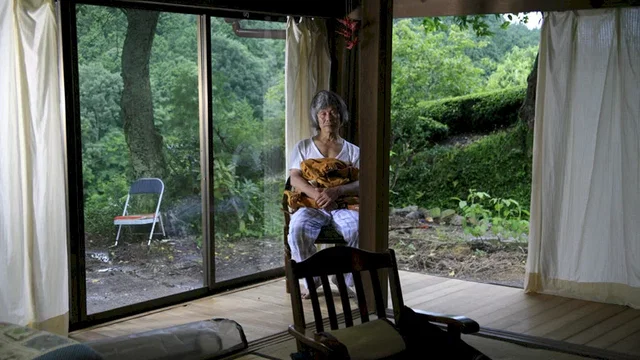 Photo du film : La forêt de mogari