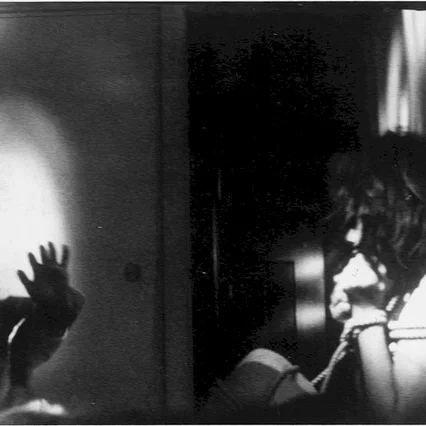 Miniature photo du film : Quand l'embryon part braconner