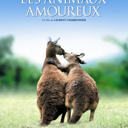 Miniature photo du film : Les animaux amoureux