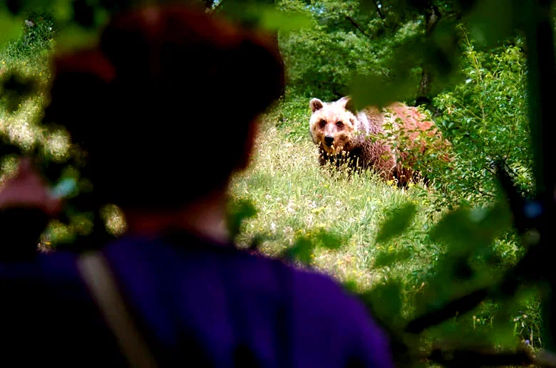 Photo 5 du film : Le Renard et l'enfant