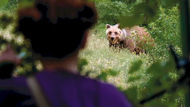 Photo 5 du film : Le Renard et l'enfant