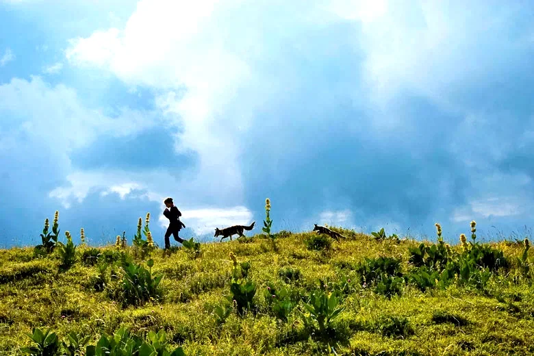 Photo 6 du film : Le Renard et l'enfant
