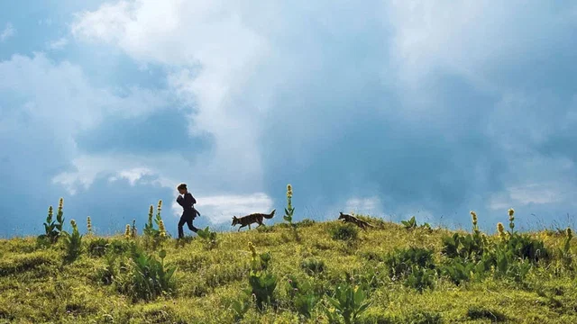 Photo 6 du film : Le Renard et l'enfant