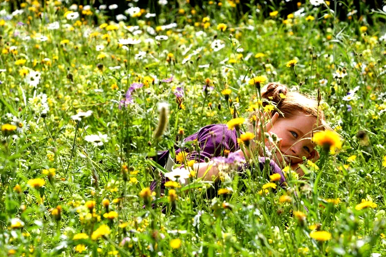 Photo 7 du film : Le Renard et l'enfant