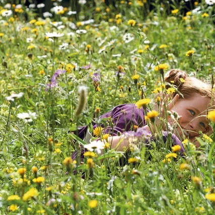Miniature photo du film : Le Renard et l'enfant