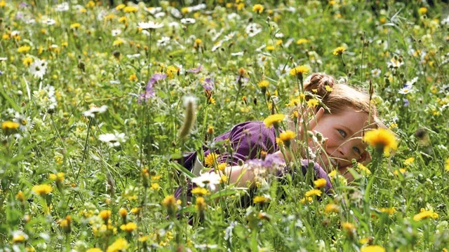 Photo 7 du film : Le Renard et l'enfant