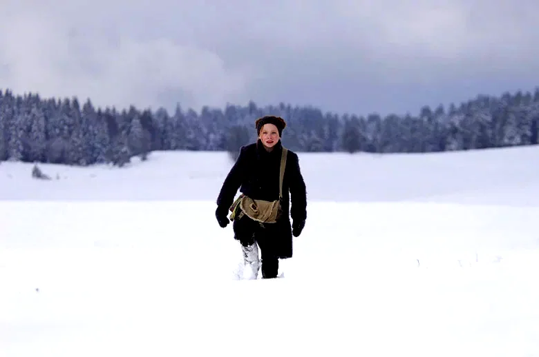 Photo 11 du film : Le Renard et l'enfant
