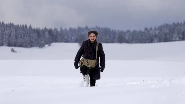 Photo 11 du film : Le Renard et l'enfant