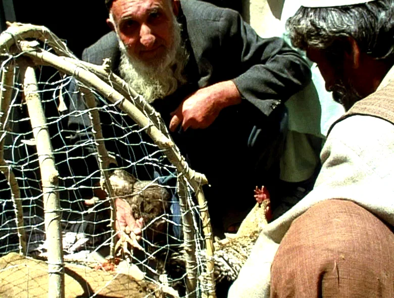 Photo du film : Cabale a kaboul