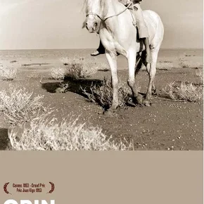 Photo du film : Crin-blanc