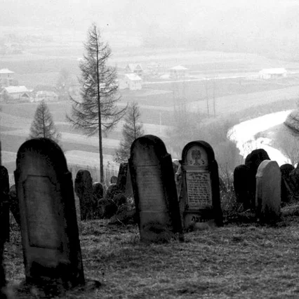 Miniature photo du film : Shtetls