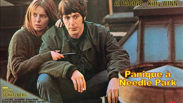 Affiche du film : Panique à Needle Park