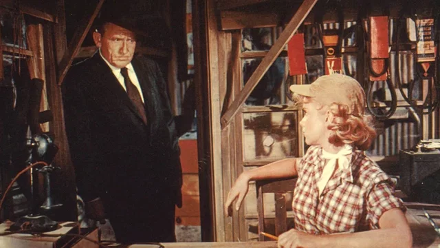 Photo du film : Un homme est passé