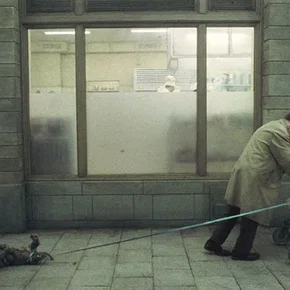 Photo du film : Nous les vivants