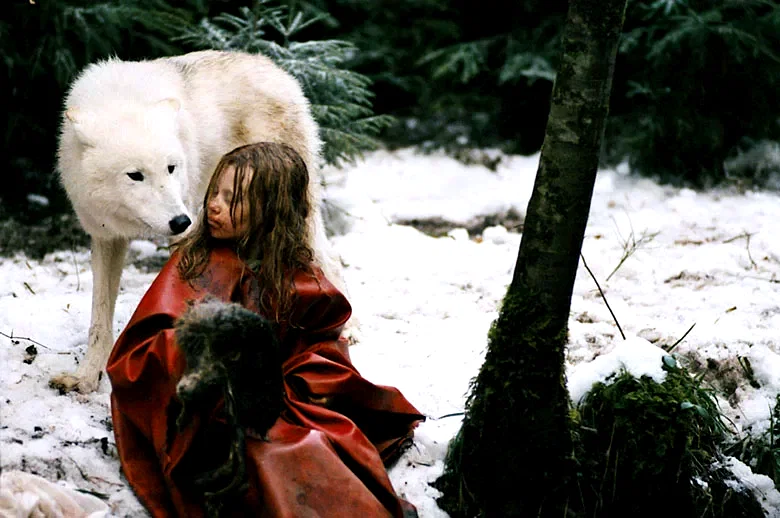 Photo 3 du film : Survivre avec les loups