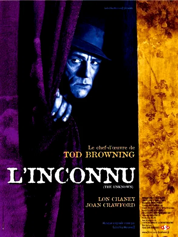 Affiche du film : L'inconnu