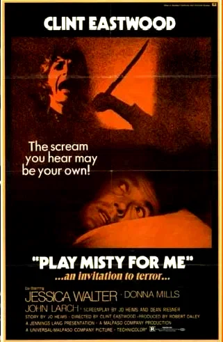 Affiche du film : Un frisson dans la nuit