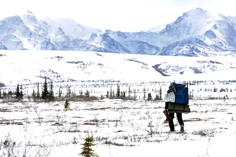 Photo 5 du film : Into the wild